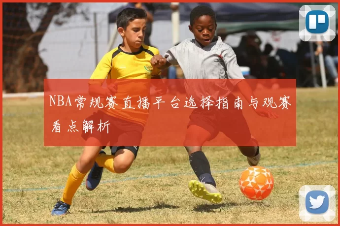 NBA常规赛直播平台选择指南与观赛看点解析